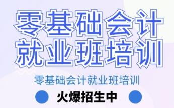 零基礎(chǔ)學(xué)會(huì)計(jì)快班